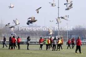 VfB Stuttgart Training