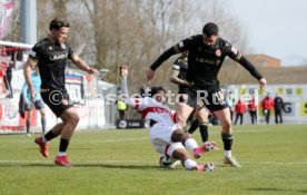 23.02.25 VfB Stuttgart II - FC Energie Cottbus