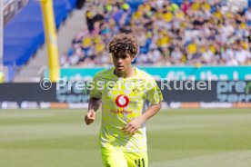 18.04.26 TSG 1899 Hoffenheim - Borussia Dortmund