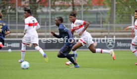 03.05.25 U17 VfB Stuttgart - U17 1. FSV Mainz 05