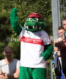 VfB Stuttgart Training