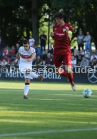 VFB Stuttgart-Fan Auswahl Spiel