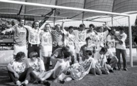 05.06.1993 VfB Stuttgart - SV Werder Bremen