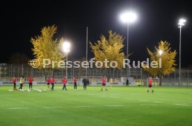 VfB Stuttgart Training