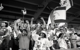 25.05.88 PSV Eindhoven - Benfica Lissabon