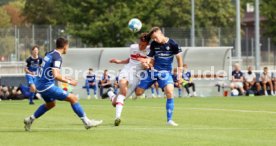 03.09.22 U19 VfB Stuttgart - U19 SV Darmstadt 98