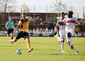 SG Dynamo Dresden-VFB Stuttgart