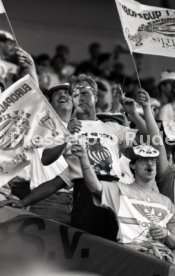 25.05.88 PSV Eindhoven - Benfica Lissabon