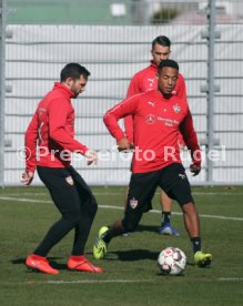 VfB Stuttgart Training