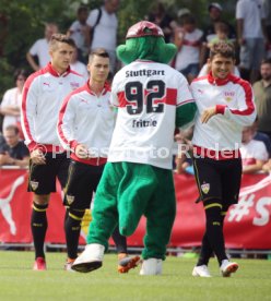 VfB Stuttgart Training