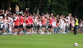 24.08.26 VfB Stuttgart Training