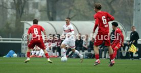 29.03.25 U17 VfB Stuttgart - U17 1. FC Köln