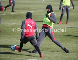VfB Stuttgart Training
