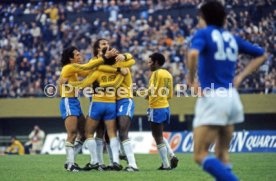 FIFA WM 1978