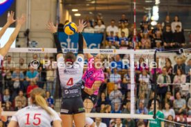 29.10.25 Allianz MTV Stuttgart - Dresdner SC