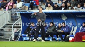 29.11.25 TSG 1899 Hoffenheim - FC Augsburg