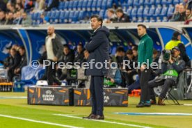 22.10.26 TSG 1899 Hoffenheim - Olympique Lyon