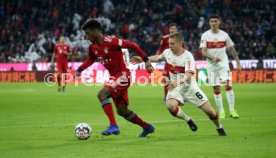 FC Bayern M&uuml;nchen - VfB Stuttgart