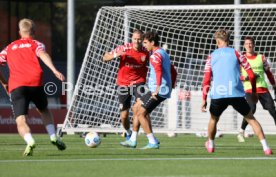 11.10.23 VfB Stuttgart Training