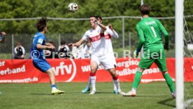 14.05.26 U19 SGV Freiberg - U19 VfB Stuttgart