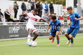14.09.24 U17 VfB Stuttgart - U17 TSG 1899 Hoffenheim