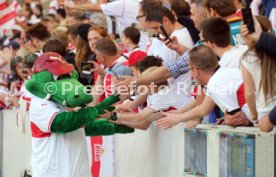 VfB Stuttgart - TSG 1899 Hoffenheim