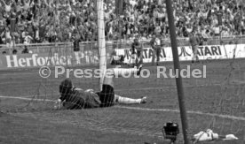 DFB-Pokal Finale 1987 Hamburger SV - Stuttgarter Kickers