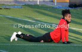 VfB Stuttgart Training