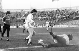 VfB Stuttgart - Hannover 96