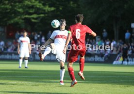 VFB Stuttgart-Fan Auswahl Spiel