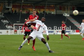 SG Sonnenhof Gro&szlig;aspach - FC Energie Cottbus