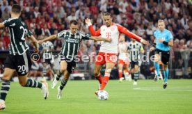20.09.23 FC Bayern München - Manchester United