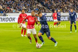 22.10.26 TSG 1899 Hoffenheim - Olympique Lyon