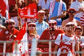 14.06.88 Deutschland - D&auml;nemark