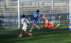05.01.25 VfB Stuttgart - FC Luzern