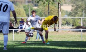 23.08.26 TSV Ph&ouml;nix Steinsfurt - SV Tiefenbach