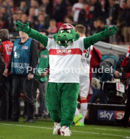 VfB Stuttgart - 1. FC Union Berlin