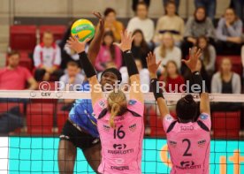 Allianz MTV Stuttgart - Beziers VB