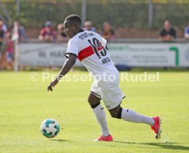 SG Dynamo Dresden - VfB Stuttgart