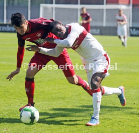 U 17 VfB Stuttgart - U19 1. FC Kaiserslautern