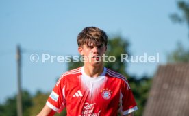 02.07.25 SSV Ulm 1846 - FC Bayern München II