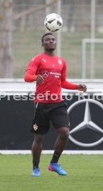 VfB Stuttgart Training Spieler