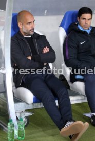 TSG 1899 Hoffenheim - Manchester City