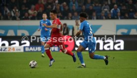 TSG 1899 Hoffenheim - VfB Stuttgart