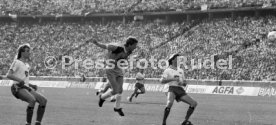 DFB-Pokal Finale 1987 Hamburger SV - Stuttgarter Kickers
