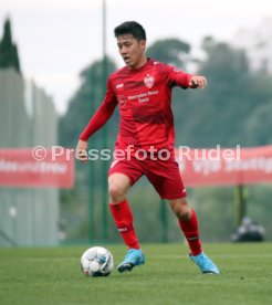 VfB Stuttgart - MOL Fehevar FC