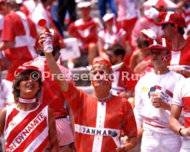 13.06.86 D&auml;nemark - Deutschland