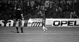 27.09.89 Feyenoord Rotterdam - VfB Stuttgart