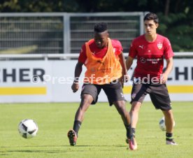 VfB Stuttgart Training