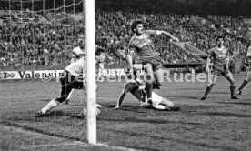 VfB Stuttgart - 1. FC K&ouml;ln